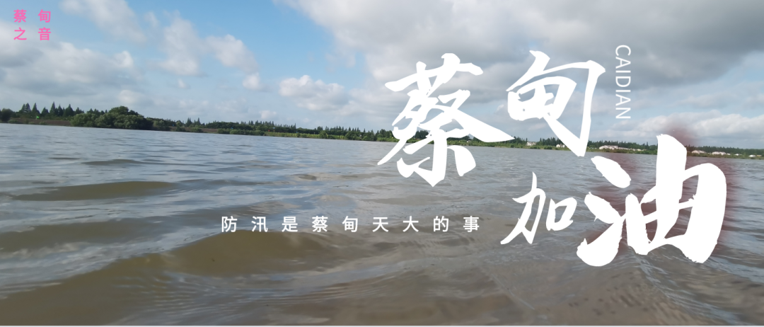 蔡甸區(qū)啟動(dòng)防汛ⅰ級(jí)應(yīng)急響應(yīng)，做好鋪土釘防汛木樁工作