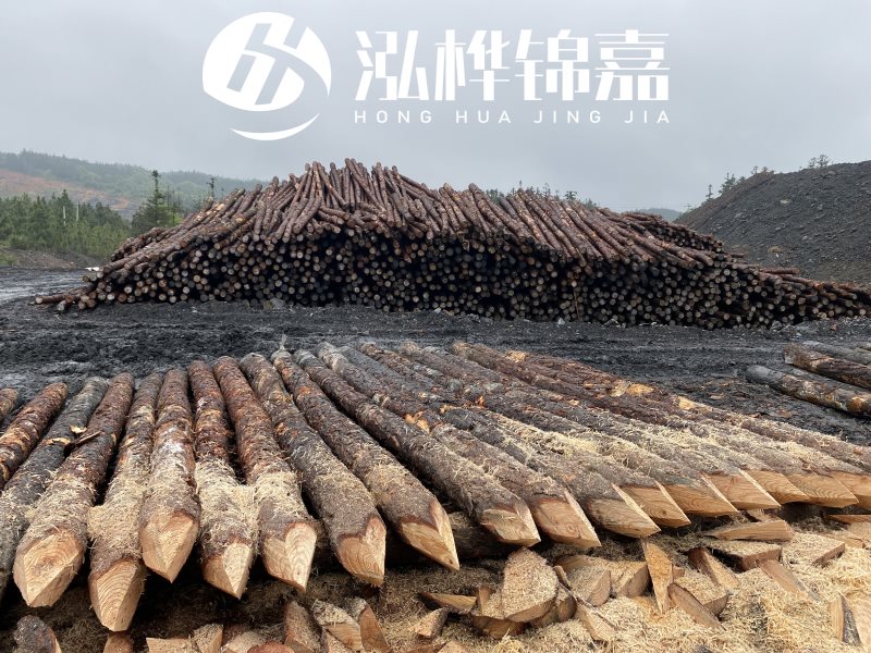 6米長(zhǎng)松木樁有哪些作用，多少錢一根？
