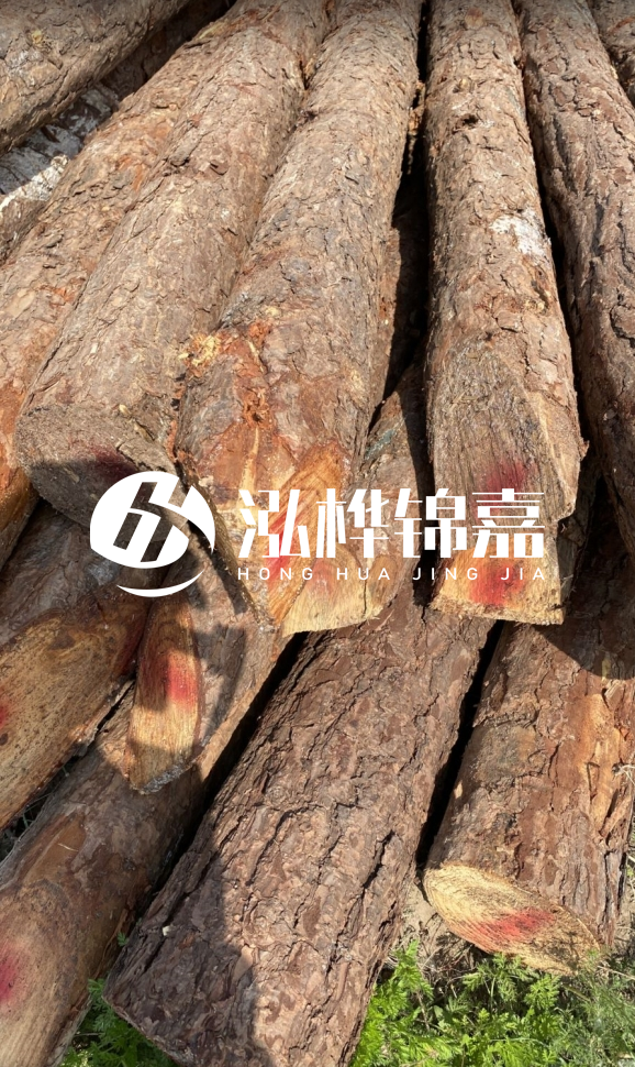 <strong>松木樁和杉木樁的用途區(qū)別？哪個更適合打樁用？</strong>