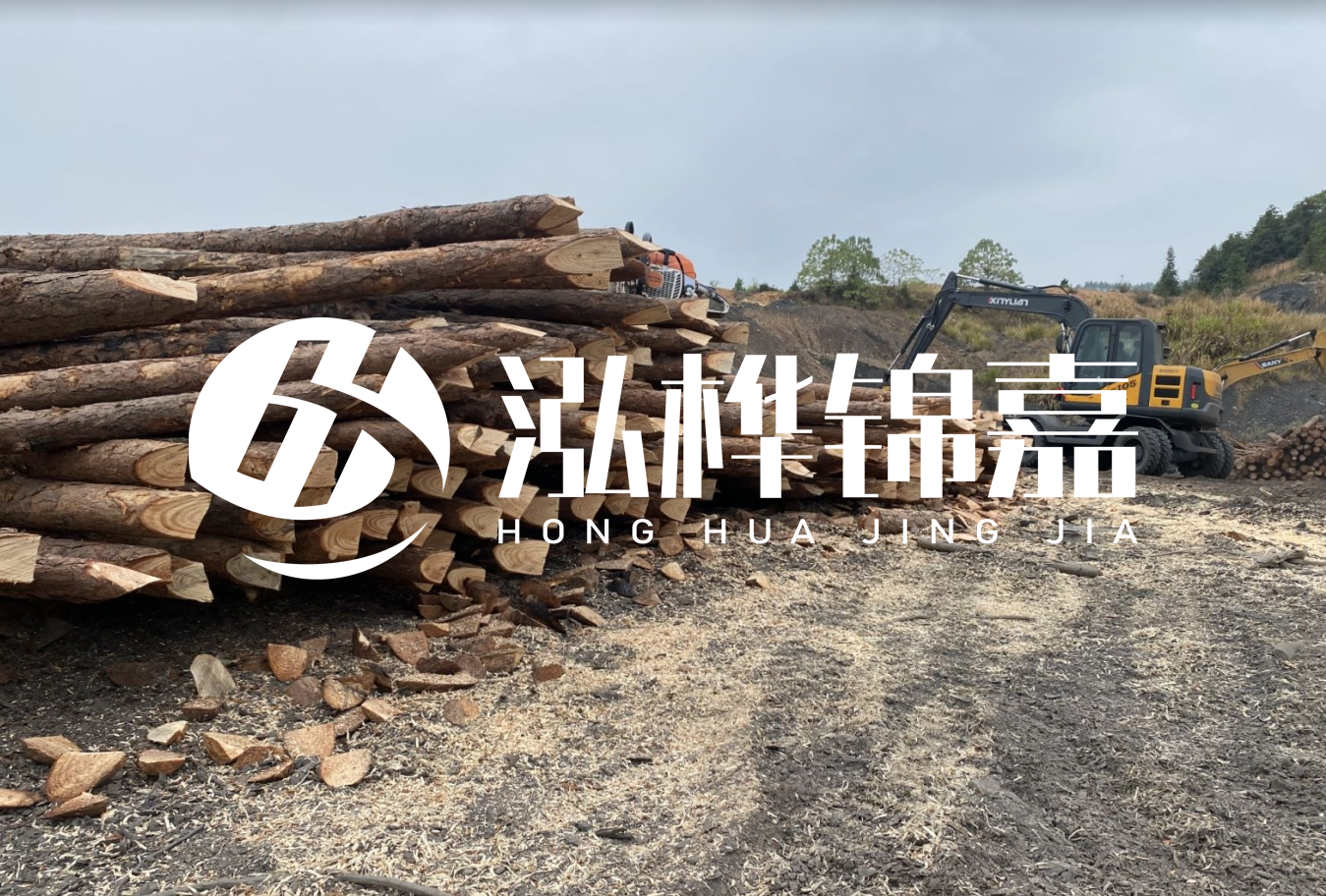 松木樁尾徑是什么意思？