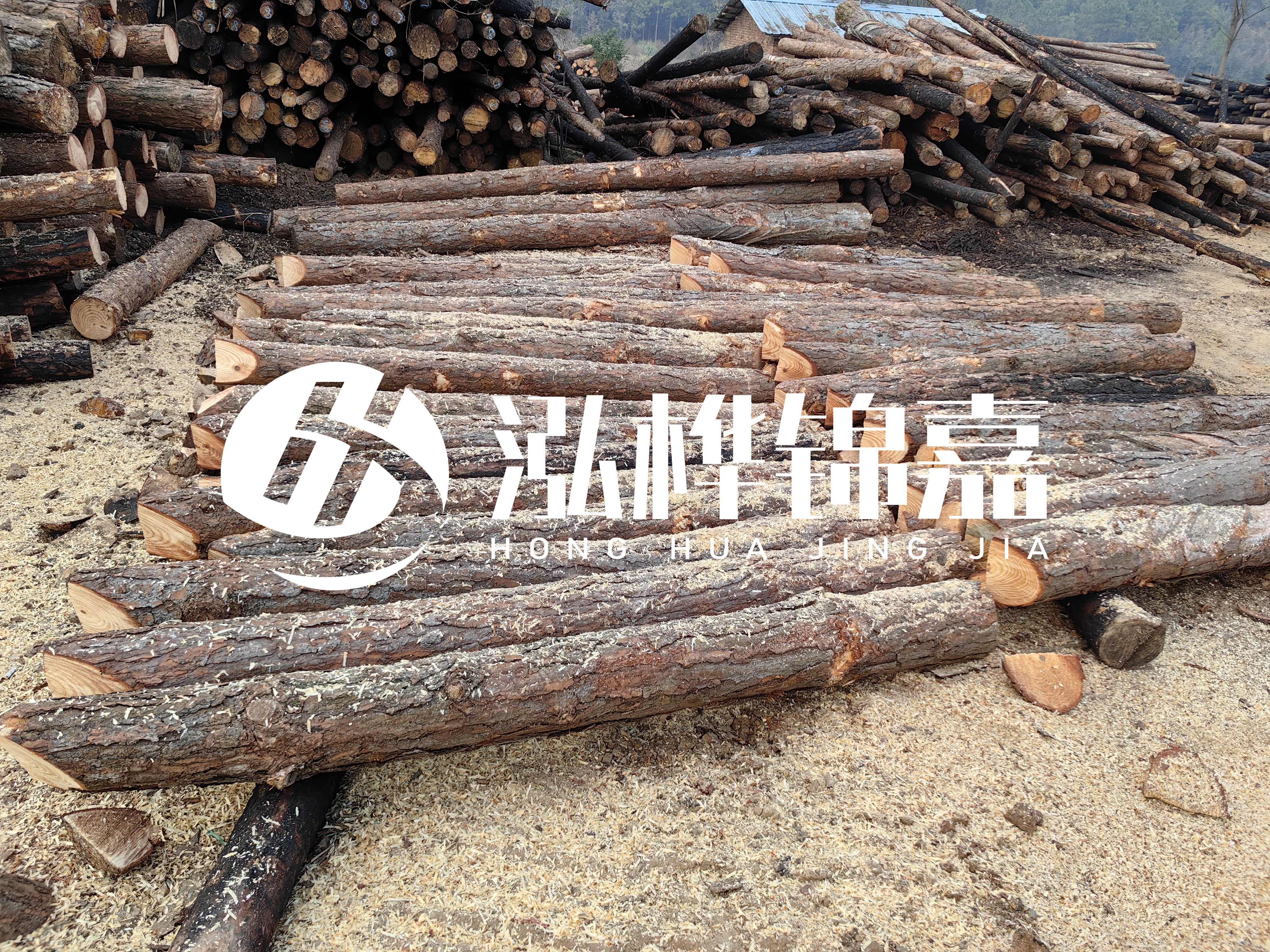 河道打樁木重復(fù)利用嗎？