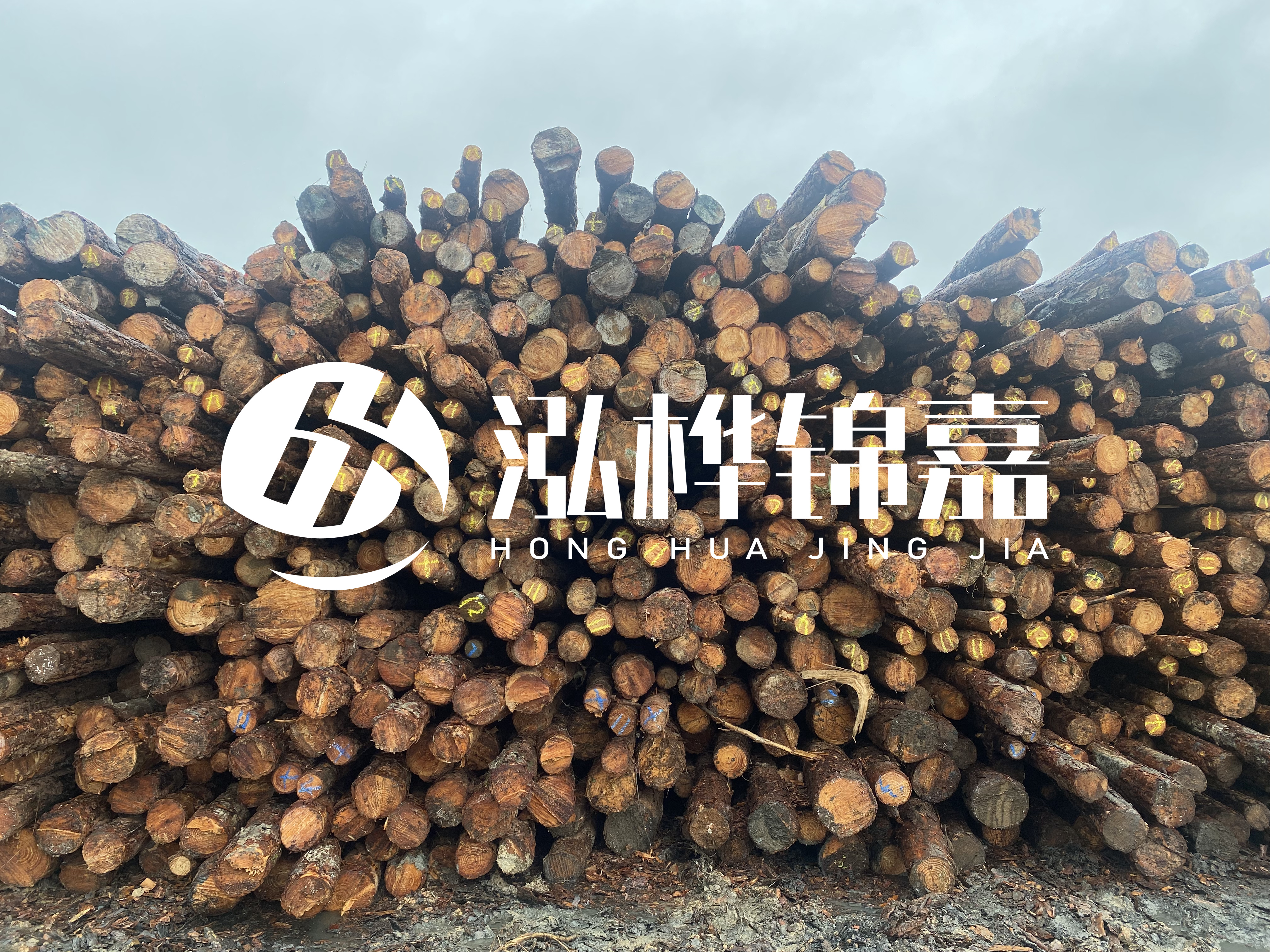 松木樁的直徑一般取多少？