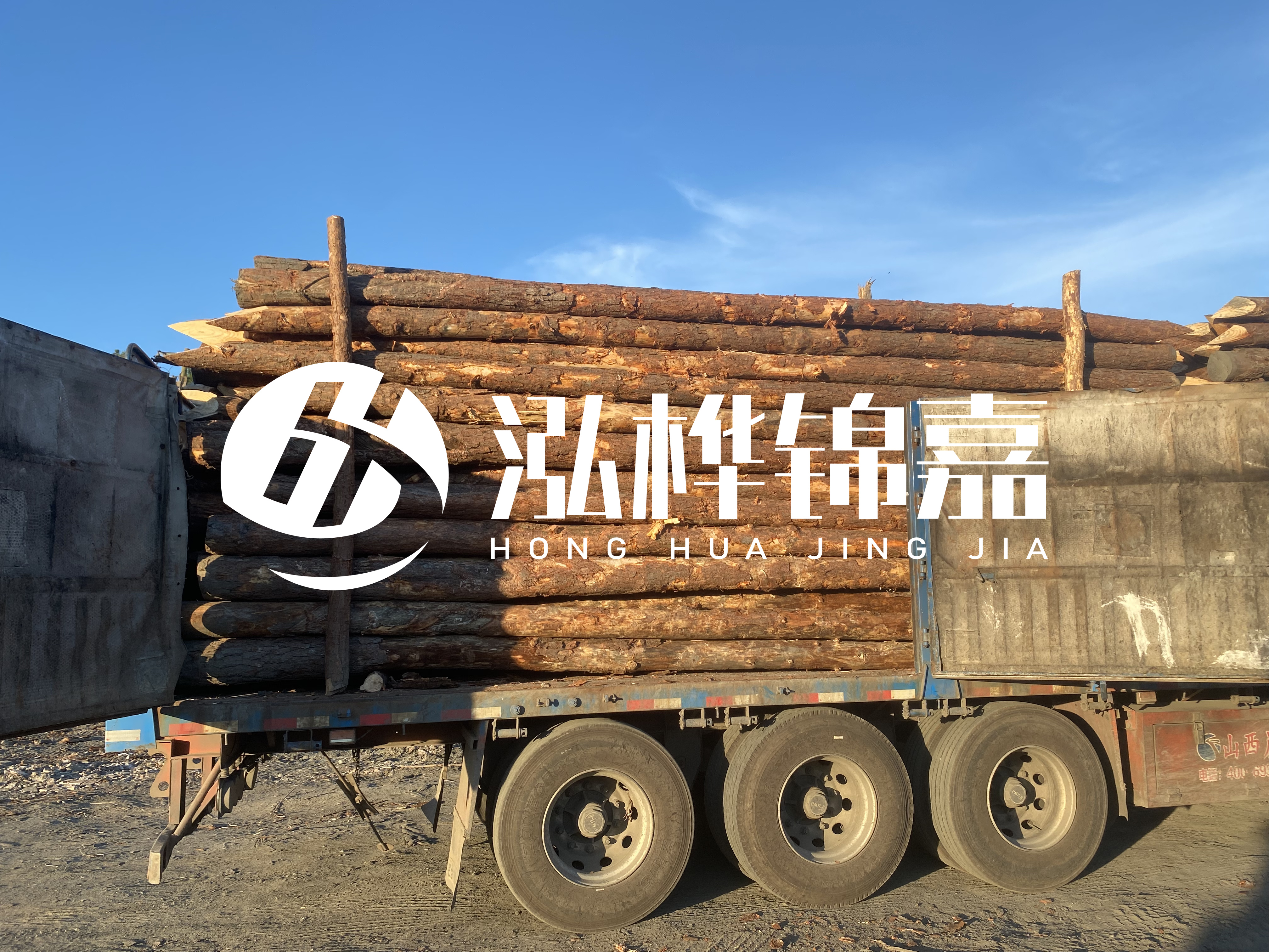 河道治理為什么要用松木樁？