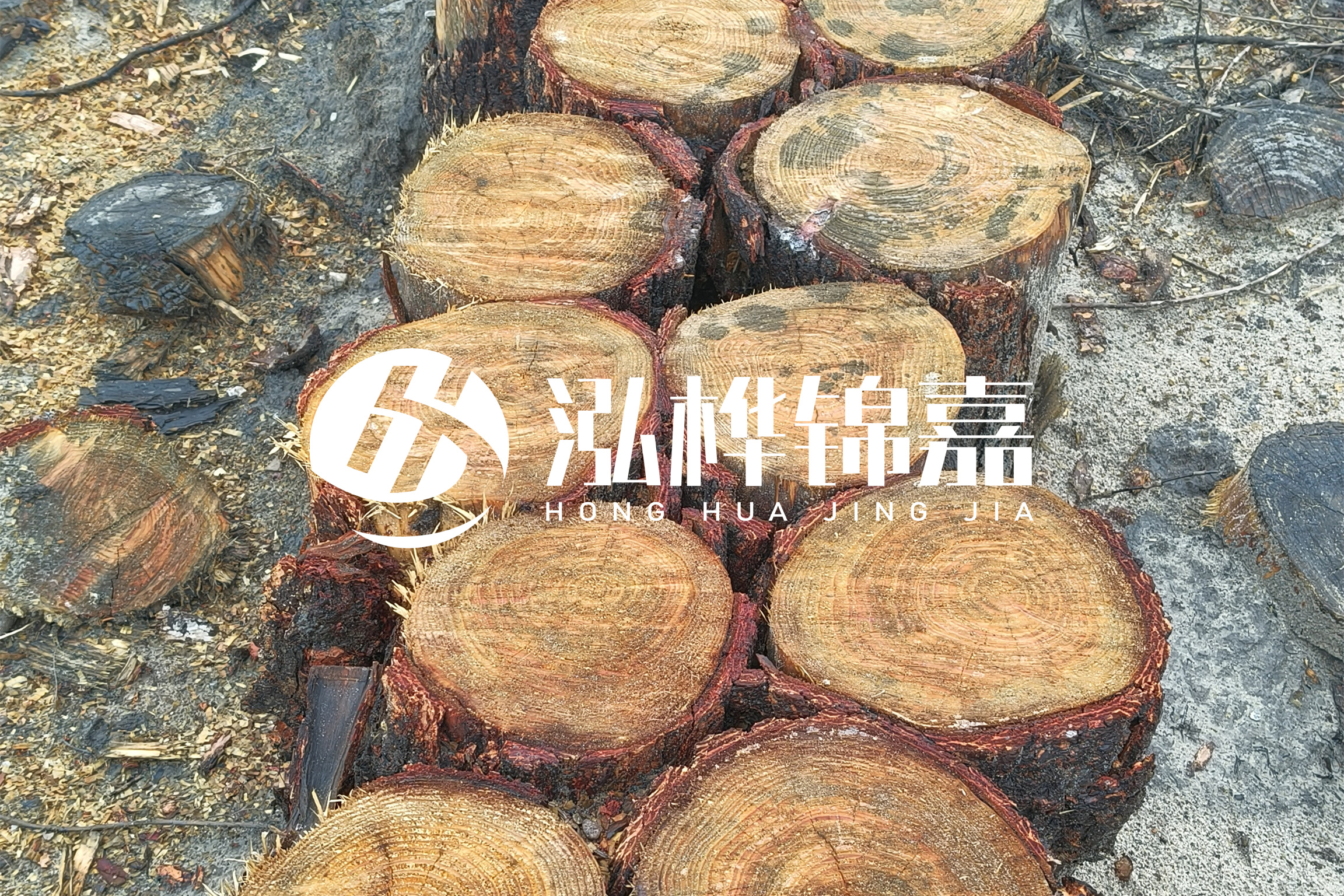 浙江臺(tái)州有清淤的公司嗎？浙江臺(tái)州有清淤施工隊(duì)嗎？