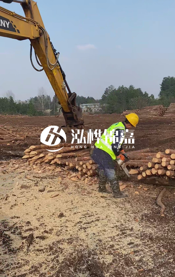 銅陵挖機(jī)打木樁專業(yè)施工-打松木樁一般算米還是算根？
