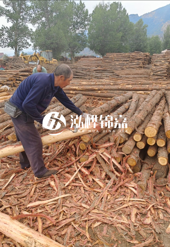 東營河道清淤專業(yè)施工隊-不同型號挖機清淤能力對比？