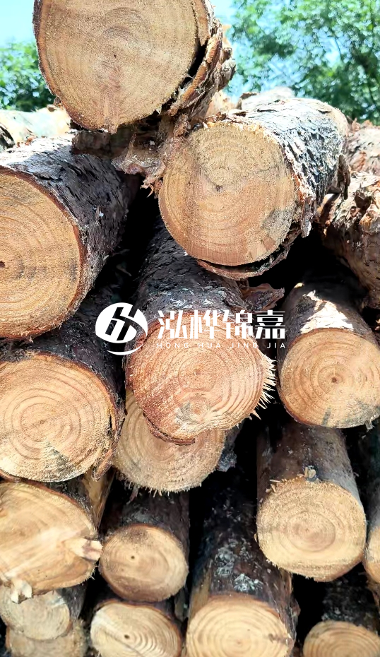 周口挖機打木樁專業(yè)施工-杉木樁施工打樁怎么打？