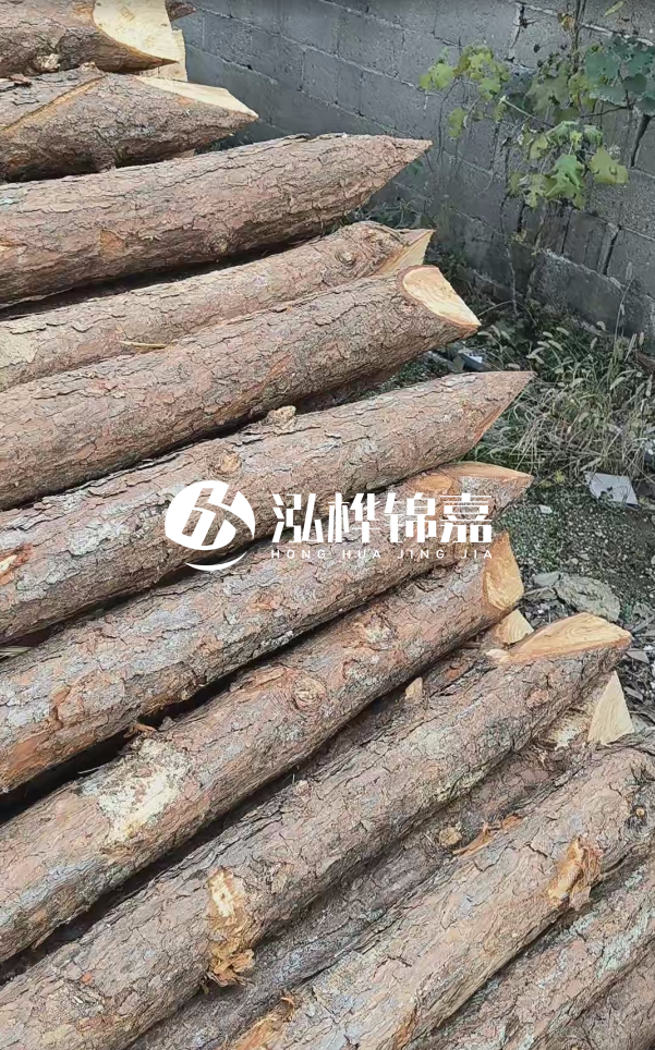 松木樁哪里能大量供應(yīng)？4米20公分松木樁價格是多少？