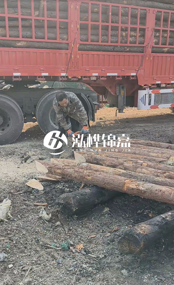 2米松木樁多少錢一根？15-20CM直徑價格是多少？