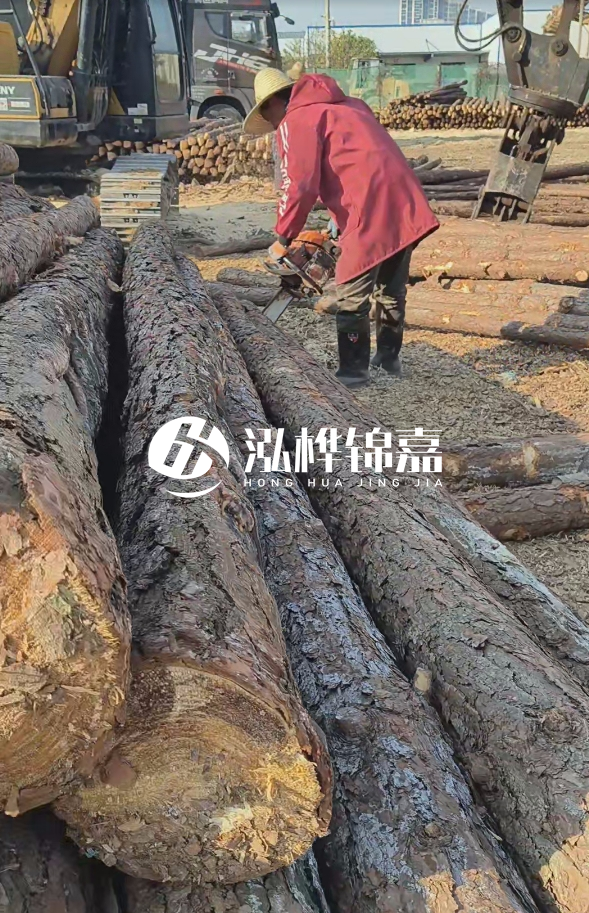 長沙打樁木批發(fā)廠家在哪里？聯(lián)系方式是什么？