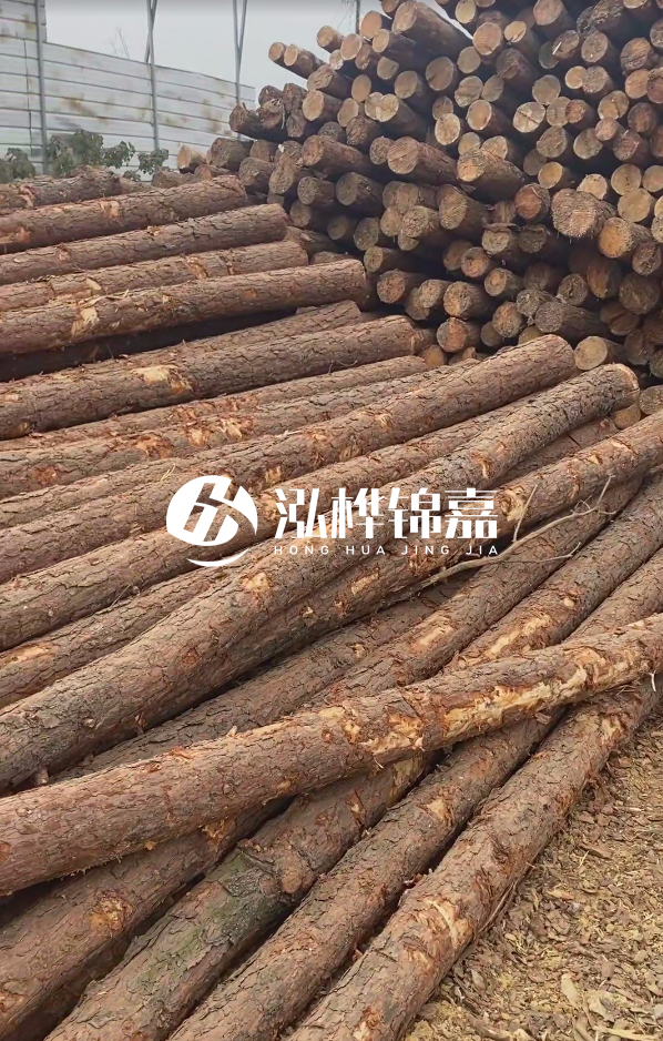 山西河道木樁護(hù)岸價(jià)格多少錢一米-每米河道打樁要花多少錢？