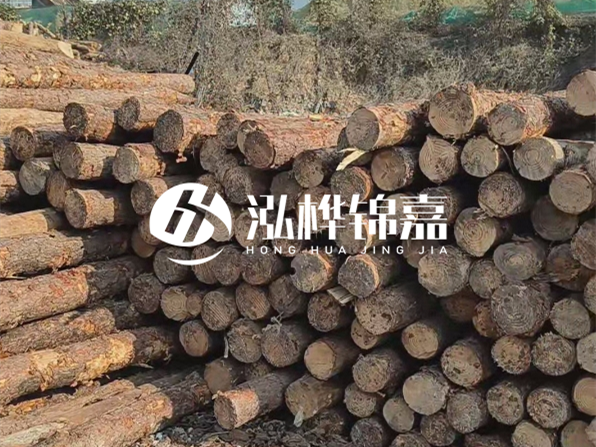 落葉松木材的主要產(chǎn)地在哪里？為什么比其他松木更耐腐蝕？