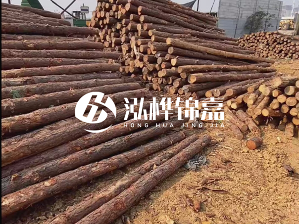 河道木樁施工遇到淤泥怎么辦？打多深才能防沖刷？