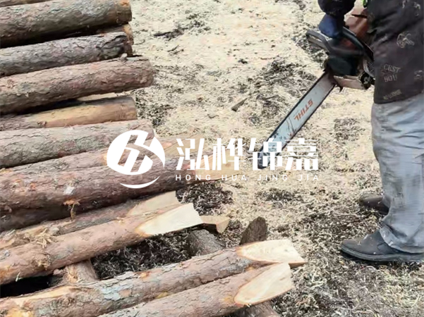 杉木樁批發(fā)廠家哪家好？產(chǎn)地直供渠道推薦！