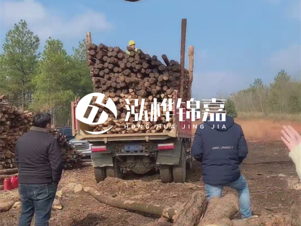 松木樁價(jià)格是按米算還是按根算？6米松木樁批發(fā)價(jià)每根多少錢？