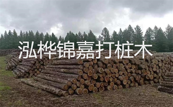 選擇紅磚護(hù)坡，打造獨(dú)特的美麗景觀