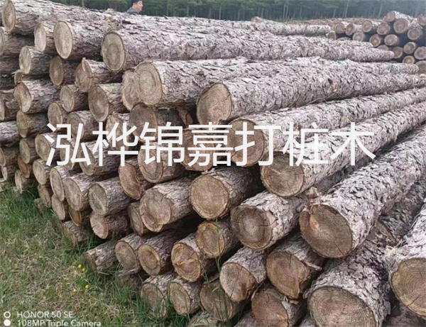 高效修補(bǔ)，保駕護(hù)航！水泥路面高強(qiáng)度修補(bǔ)料為您解決煩惱！