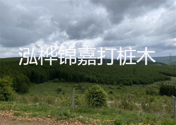松木樁能重復(fù)施工么？