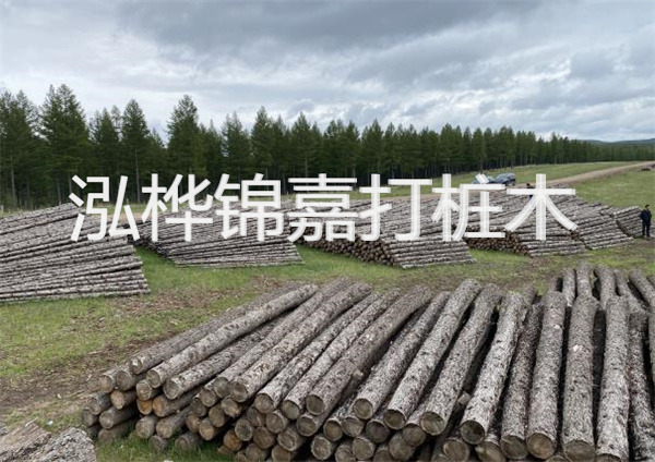 鋼結(jié)構(gòu)施工方案大全免費(fèi)提供，助力工程建設(shè)