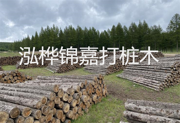 預(yù)制松木樁施工工藝：優(yōu)質(zhì)材料，高效快速，堅(jiān)固耐用