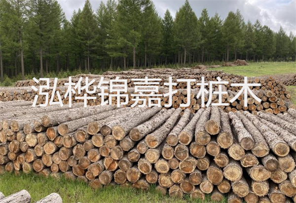 松木樁能施工嗎？探究視頻揭秘真相！