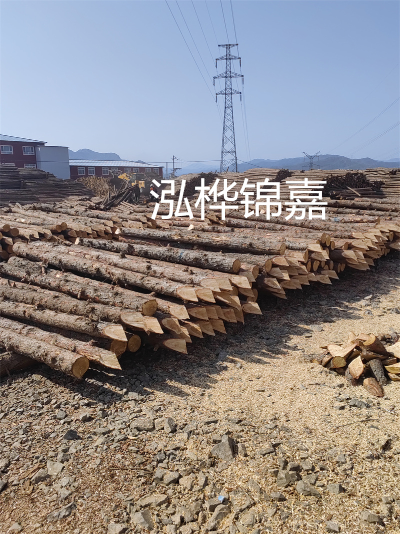 深入了解松木樁基礎(chǔ)施工單價(jià)，助力工程建設(shè)順利進(jìn)行！