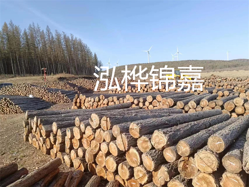 用路基松木樁施工方案提升工程質(zhì)量描述：了解路基松木樁施工方案的重要性，提高工程質(zhì)量關(guān)鍵詞：路基松木樁，施工方案，工程質(zhì)量