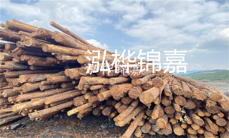 濮陽松木樁，卓越品質(zhì)，安全可靠