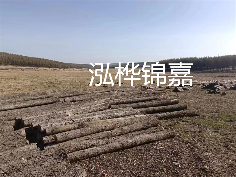 鄂州松木樁哪里好？推薦泓樺錦嘉松木樁業(yè)！